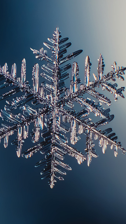 The quiet moment of snowflakes falling screenshot