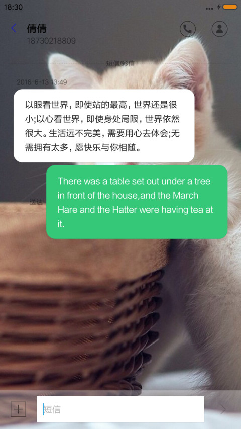 可爱猫咪 screenshot
