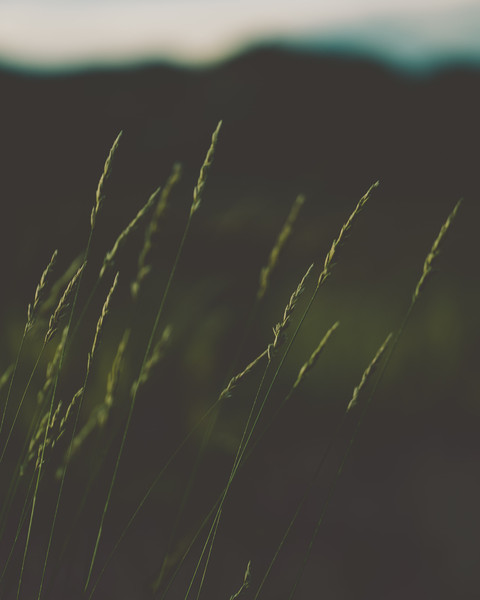 Editor's Choice screenshot