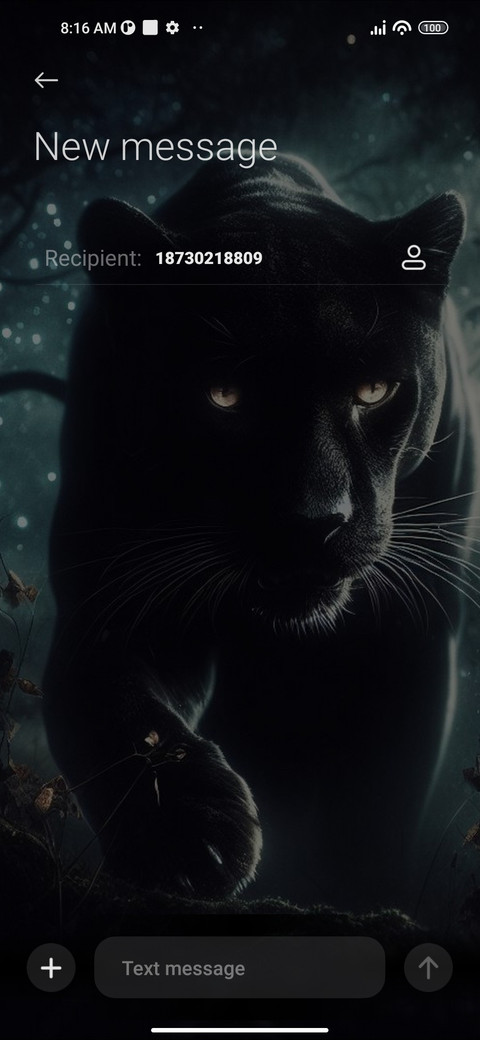 Black Panther screenshot