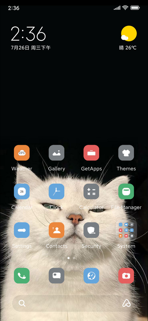 Cat screenshot