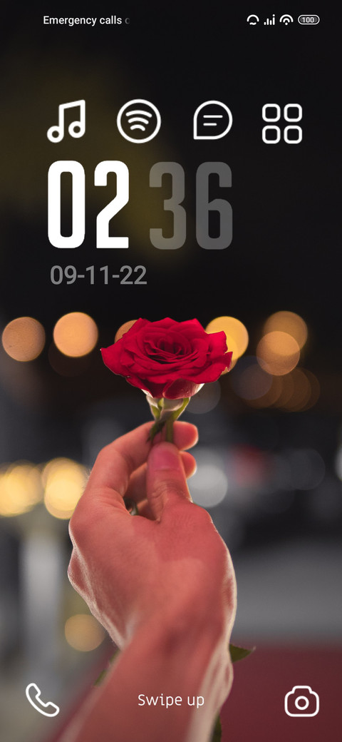 Rose Love screenshot