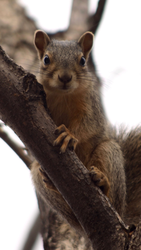 112444_1440x2560.jpg screenshot