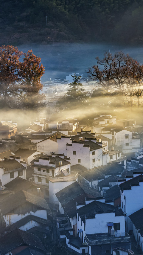 Morning Fog in Village screenshot