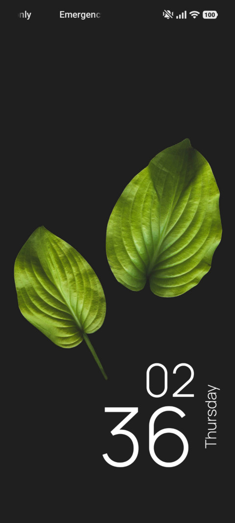 Twin Leaves screenshot