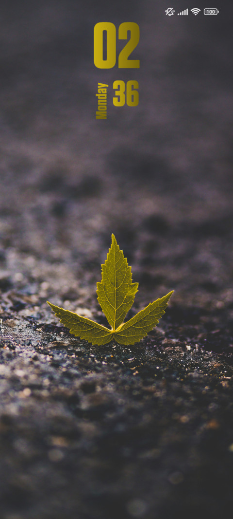 Leaf screenshot