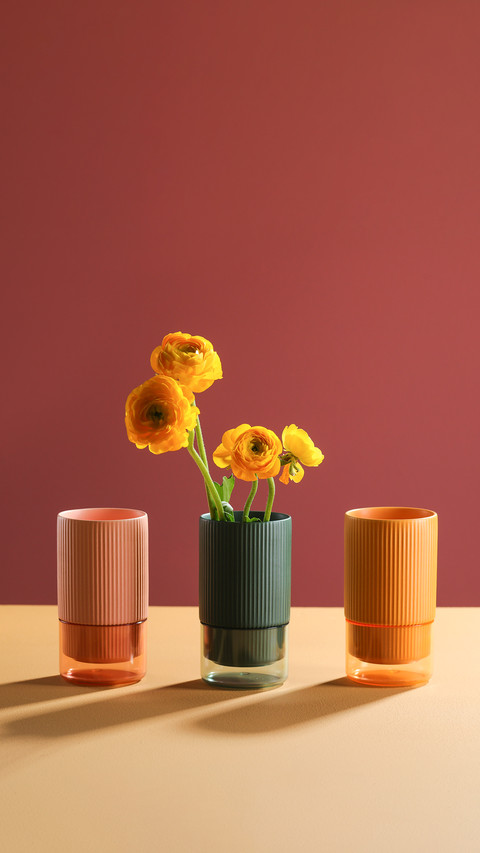 Vase of Flower on Color Background with Shadow screenshot