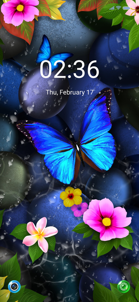 Spring Butterfly screenshot