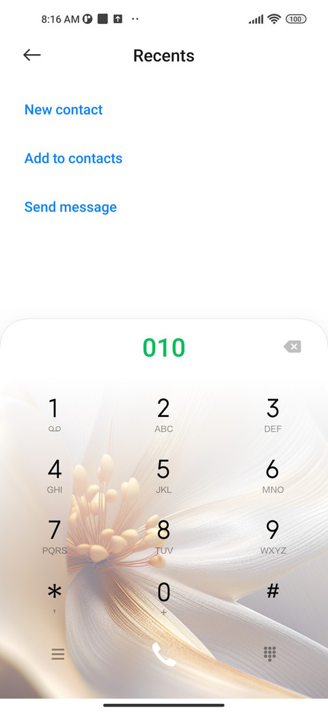 Blooming Flowers screenshot