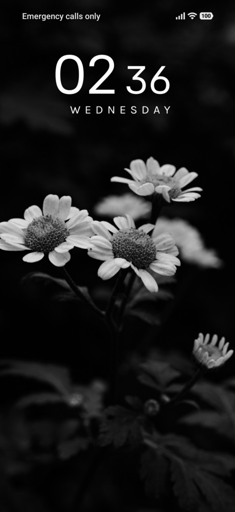 Vintage Bloom screenshot