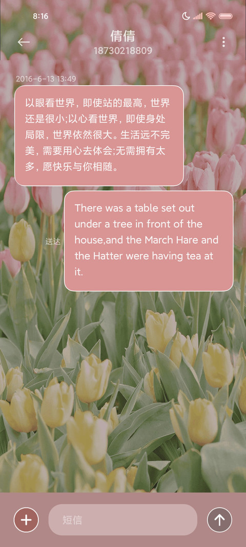 浪漫郁金香春日组件 screenshot
