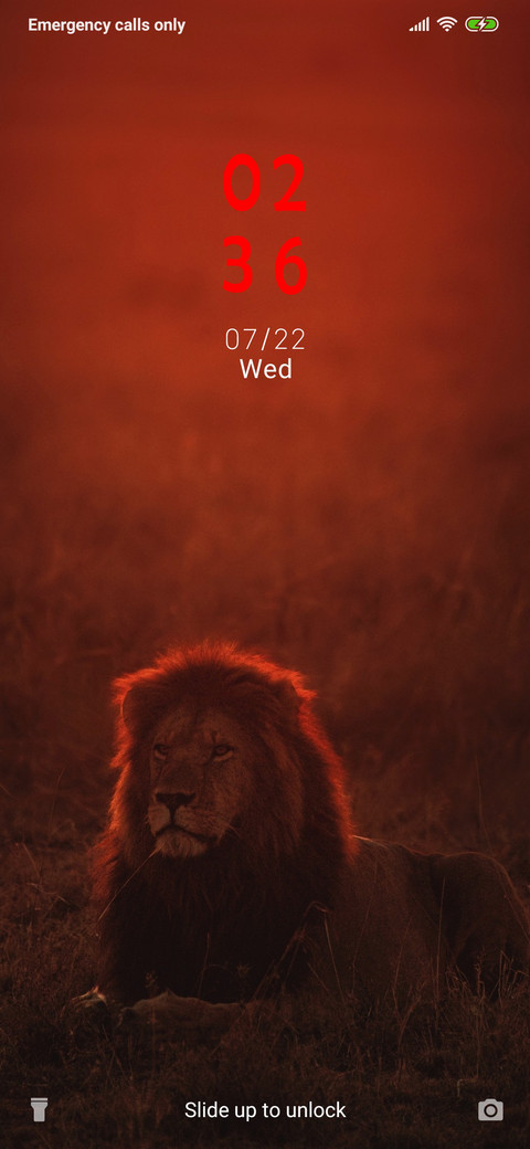 Lion - Monochrome_3MDS screenshot