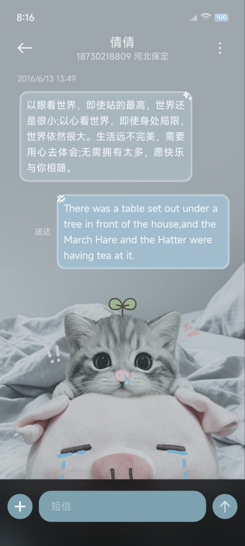 ins呆萌猫咪小猪 screenshot