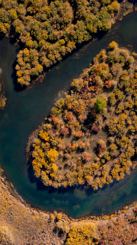 The autumn water tints the maple leaves in color screenshot