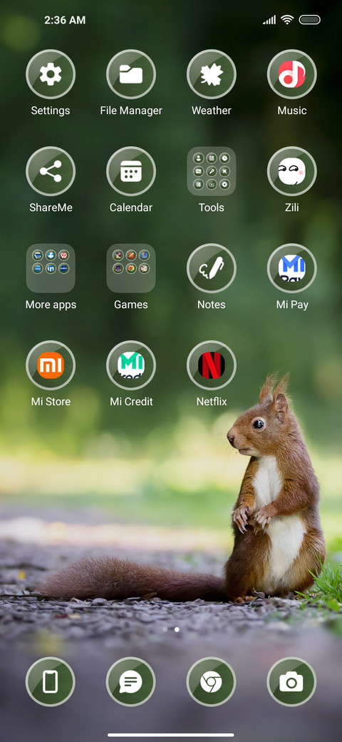 Cute Squirrel screenshot