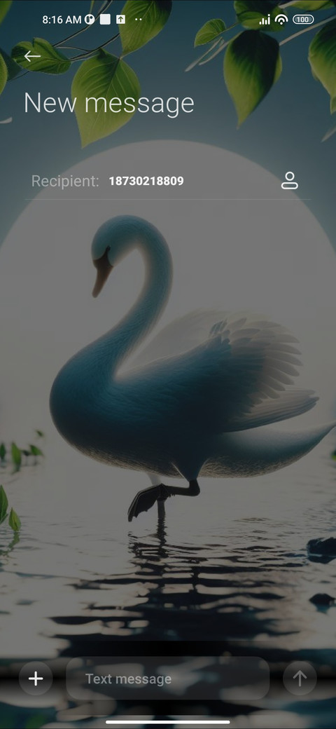 Beautiful Swan screenshot