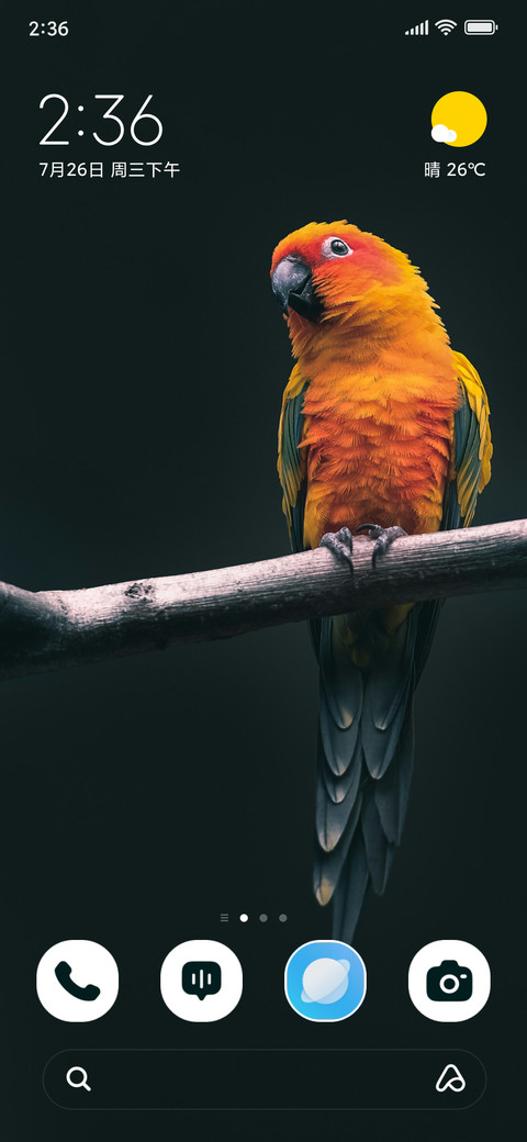 Sunset Parrot screenshot