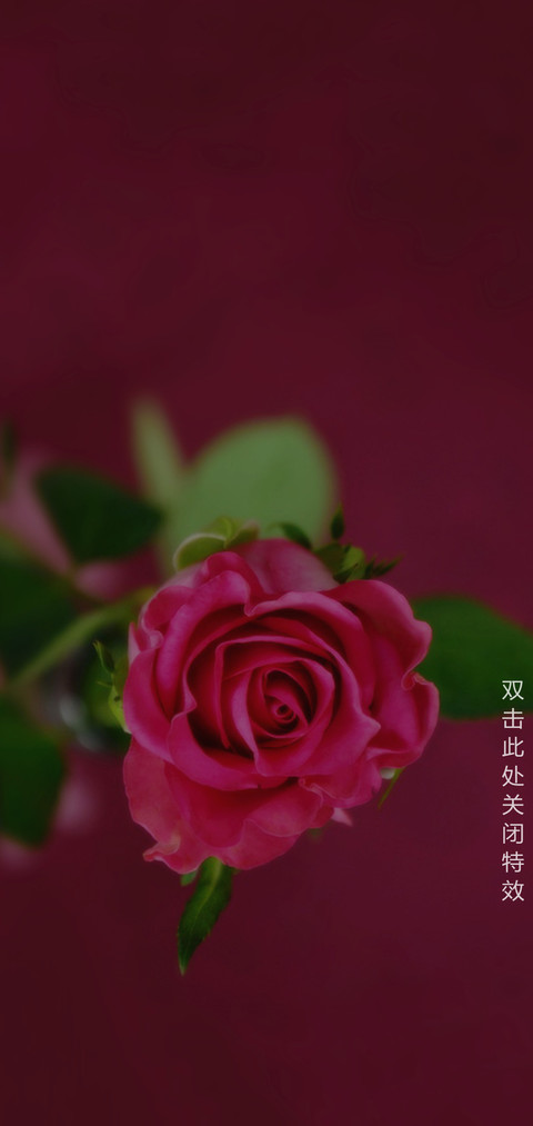 爱情花怒放 screenshot