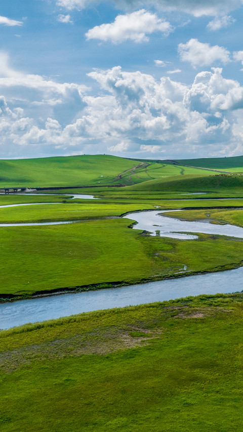 Aerial view of grassland rivers 2 screenshot