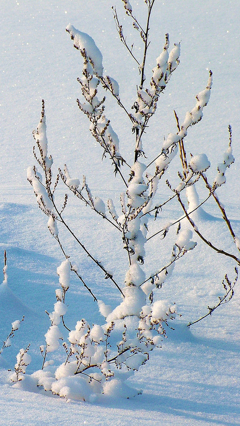 winter (9) screenshot