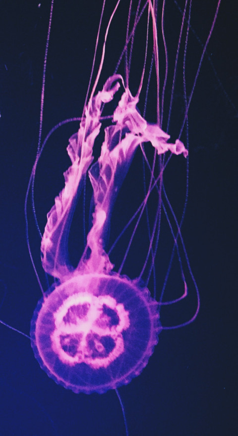 Underwater (2) screenshot