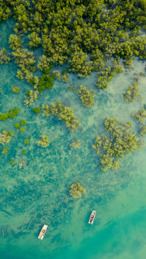 The spring wetland landscape of xiamen screenshot