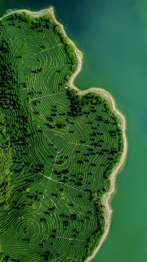 The fingerprint of the earth is in Sichuan 1 screenshot