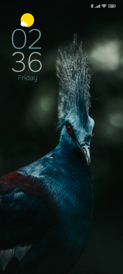 Victoria Pigeon screenshot