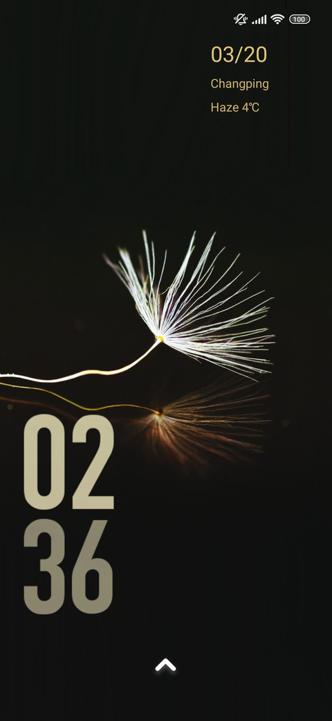 minimal dandelion screenshot
