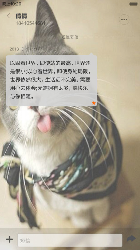 萌猫--可爱 screenshot