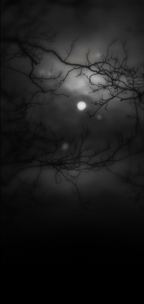 静夜思 screenshot