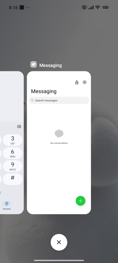 White Dog screenshot