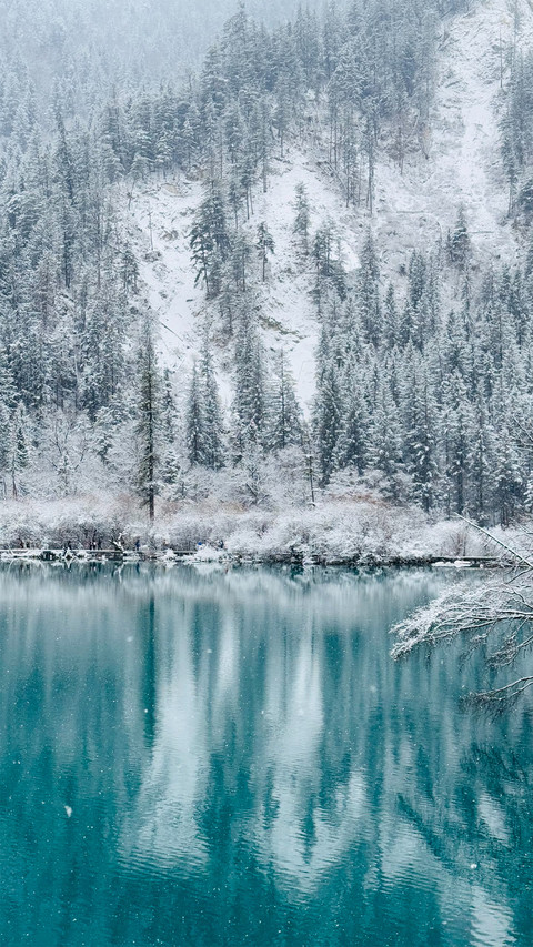 The snowcovered forests and the sapphire blue lake screenshot