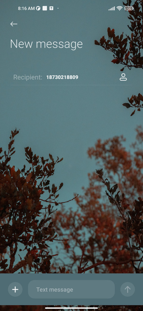 Moon and treetops screenshot