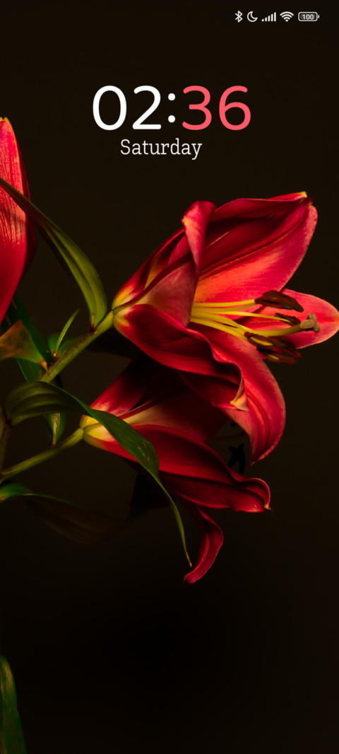 Scarlet Lily screenshot