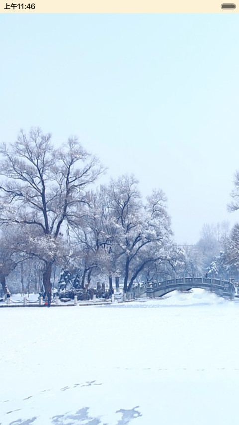 认真的雪 screenshot
