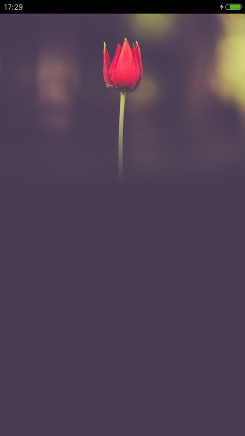 View screenshot