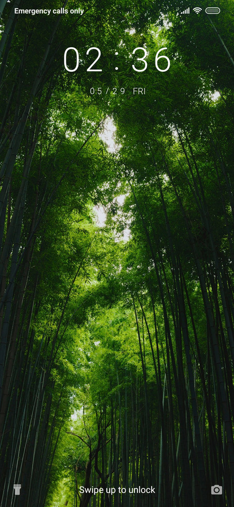 BambooForest_3MDS screenshot