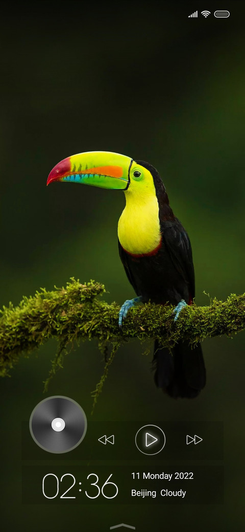 Wildlife seventeen screenshot