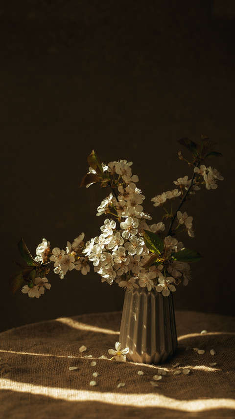 Beautiful cherry flower screenshot