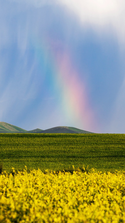 Summer scenery of Zhao Su screenshot