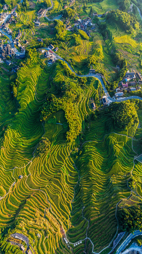 The king of terraced fields in jiangnan screenshot