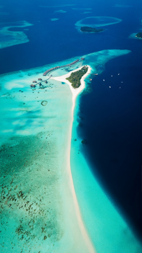 Tropical screenshot