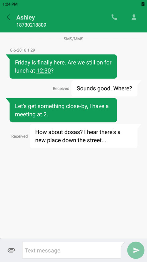 ThindSKIN screenshot