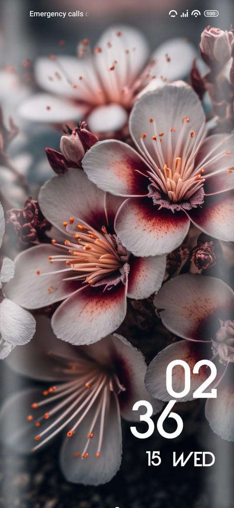 Flower screenshot