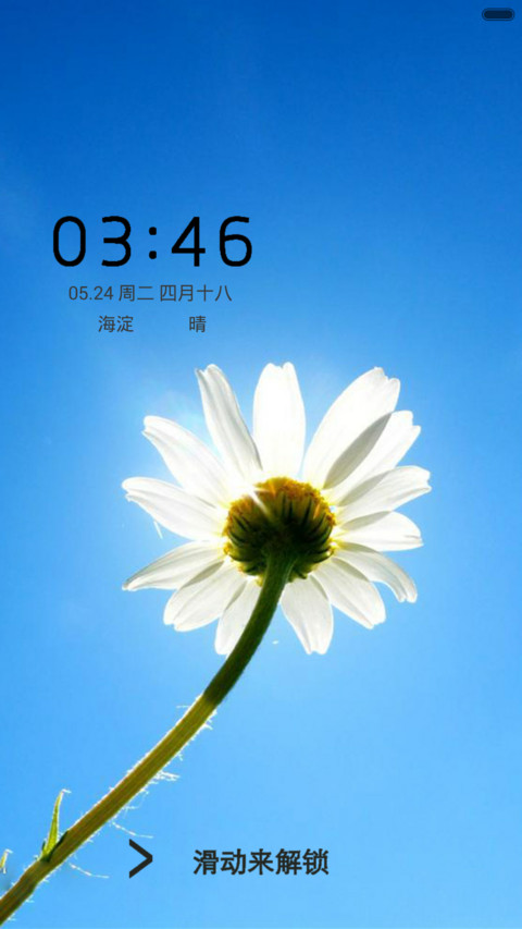 清新简约波斯花 screenshot