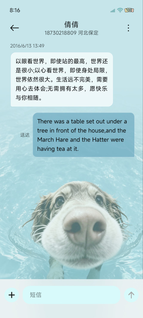 重感 水波纹汪汪队 screenshot