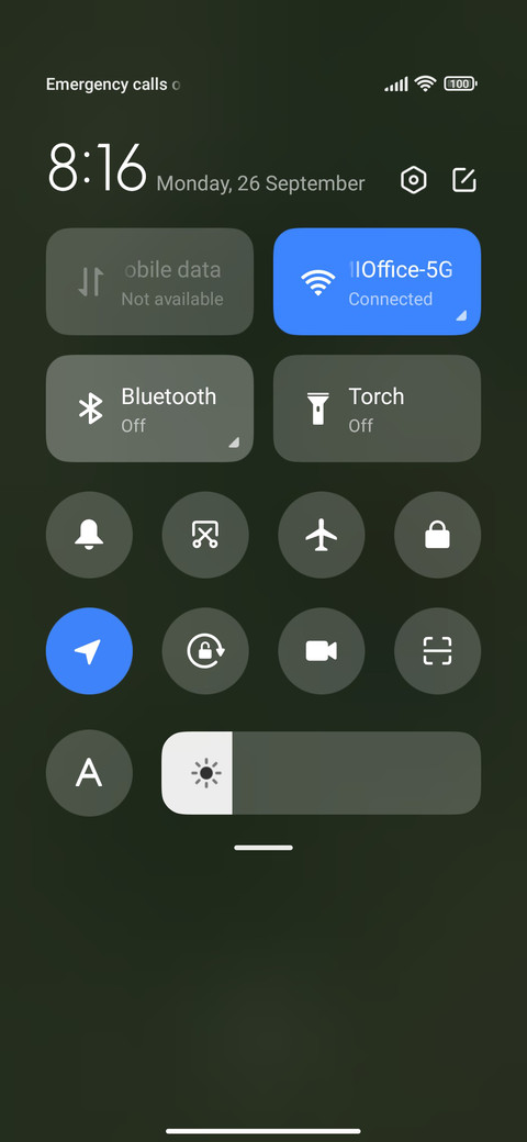 Ancient+Bamboo screenshot