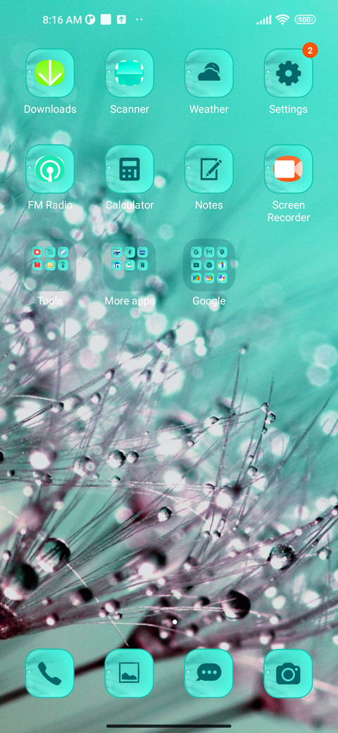 nature dandelion screenshot