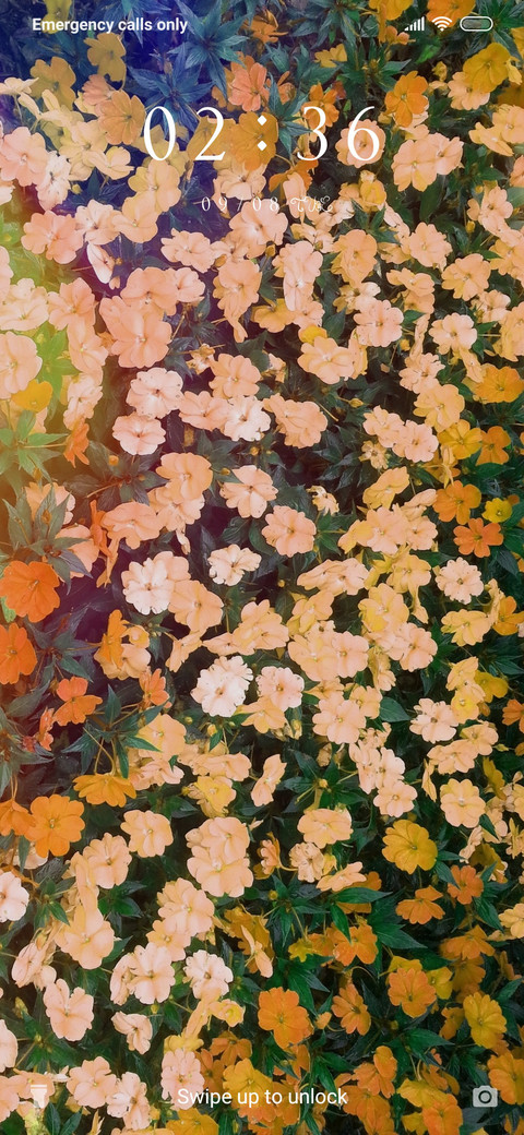 Lovely Flowers_3MDS screenshot